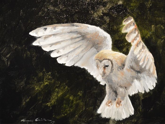 Ethereal Barn Owl by Renee Erickson
